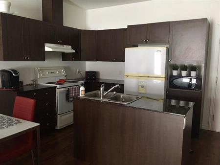 2 Appartement 9691 Notre Dame Ouest Disponible 1 juillet 2025