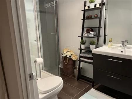 1 room room of 43 m² in Boucherville