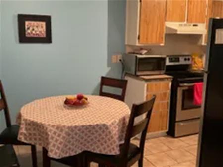 1 room room of 26 m² in Montreal