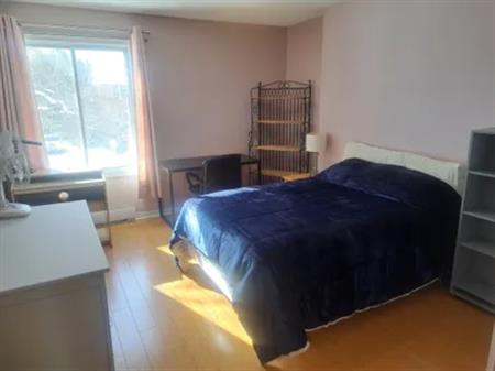 1 room room of 27 m² in Montreal