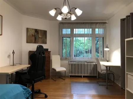 1 room room of 17 m² in Montreal