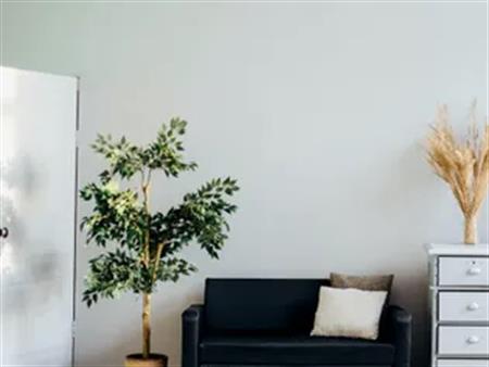 1 room of 34m² in Longueuil