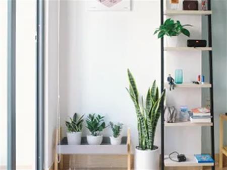 4 rooms apartment of 103 m² in Montreal