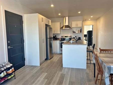 Rosemont - Superbe Condo 4 1/2 Neuf