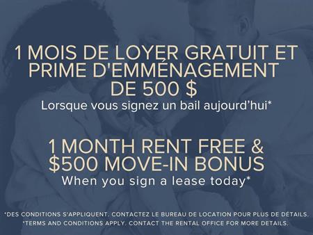 2 Bedroom Available At 3440 Durocher Street, Montreal - 3440 Durocher Street, Montréal