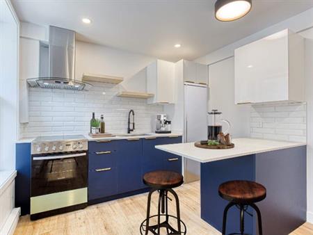1 CH - 1 SDB - Montréal - $1,580 /mo