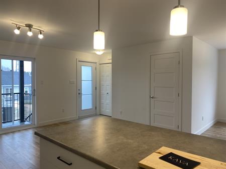 Appartement Style Condo Buckingham