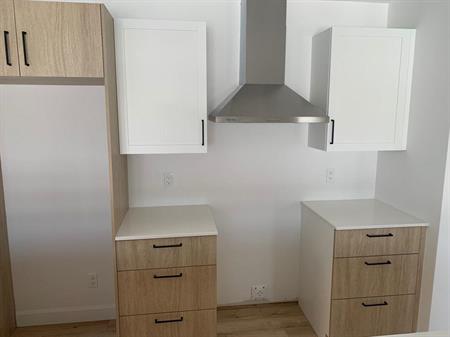 MAGNIFIQUES APPARTEMENTS 3 1/2 DISPONIBLE
