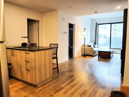Appartement Montréal (Côte-des-Neiges/Notre-Dame-de-Grâce) À Louer