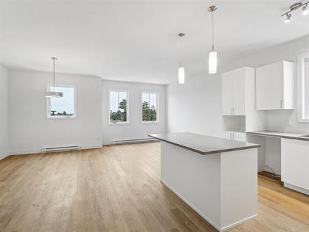 Studio - 457 CHEMIN FRASER, Gatineau