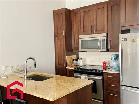Appartement Ville-Marie (Montréal) À Louer