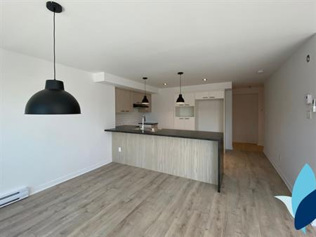 Logement 4 1/2 - 1er Oct - Saint-Jérôme