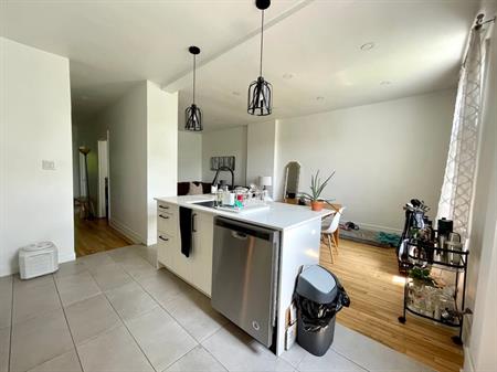 Pointe St-Charles - Superb 3 1/2 -July 1