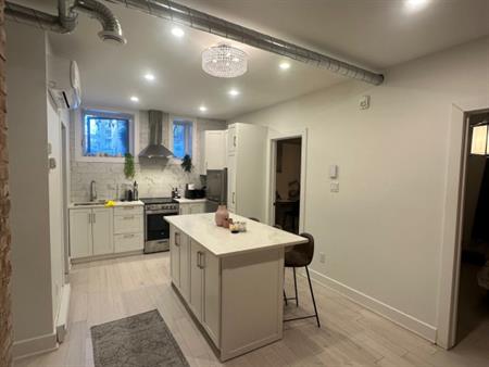 McGill Downtown - Superb 4 1/2 All Inc.