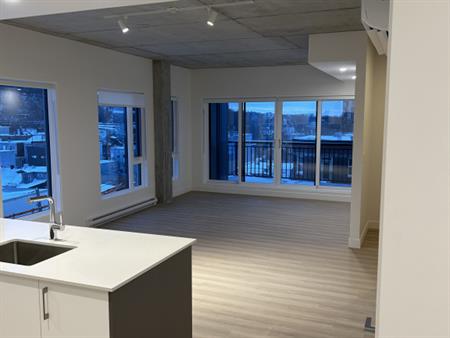 Magnifique Penthouse Deux Chambres
