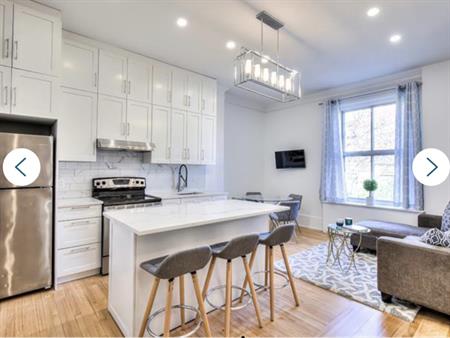 McGill Downtown - Superb 6 1/2 All Inc.