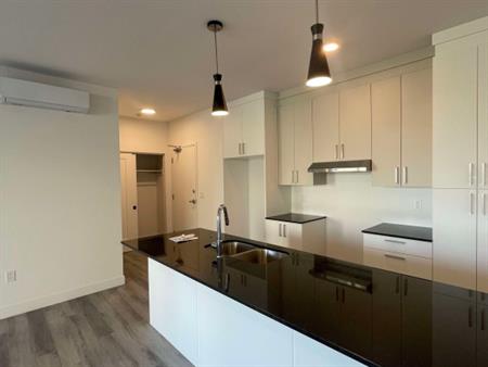 4.5 LUXUEUX AVEC GARAGE