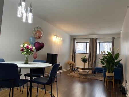 Beau 4 1/2 Meublé Rénové Sur Le Plateau