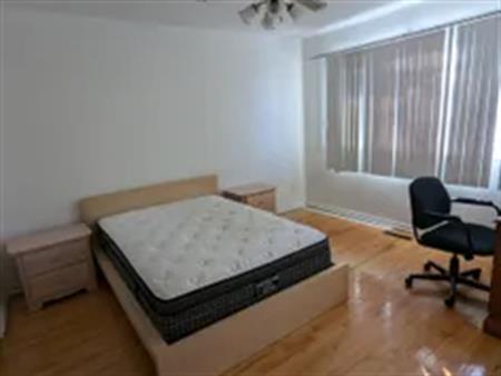 1 room room of 28 m² in Montreal