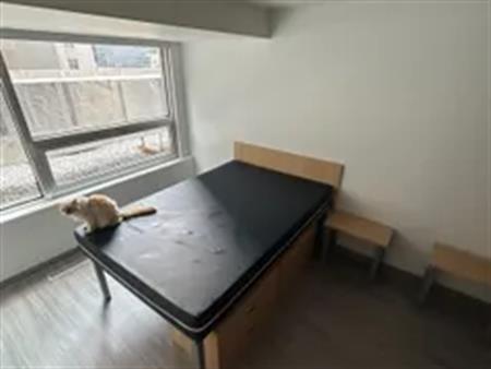 1 room room of 33 m² in Montreal