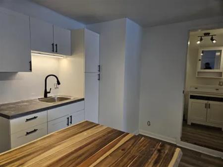 1 room apartment of 60 m² in Lévis
