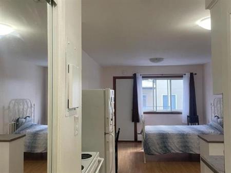 1 1/2 - Montréal (Le Plateau Mont-Royal) - 1 250 $/mois
