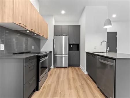 1 room apartment of 110 m² in Laval (administrative region)