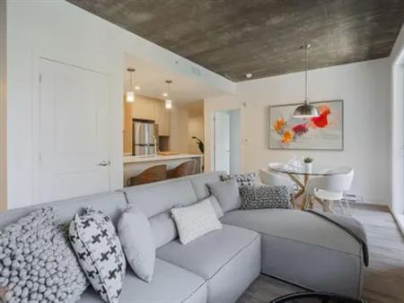 1 room apartment of 73 m² in Montreal