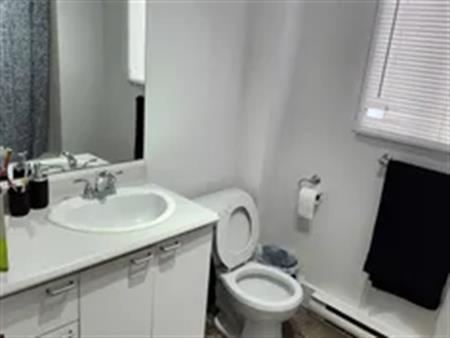 1 room apartment of 57 m² in Trois-Rivières