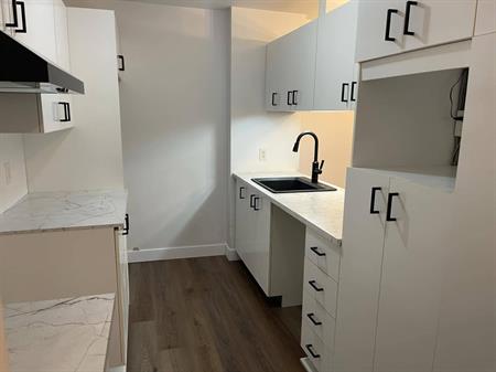 Grand Logement 31/2 Renove 2025 - Piscin