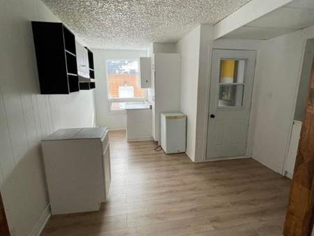 sainte agathe des monts 3 1/2 electricite ,wifi ,possibiliter de stationement deneiger 1200$