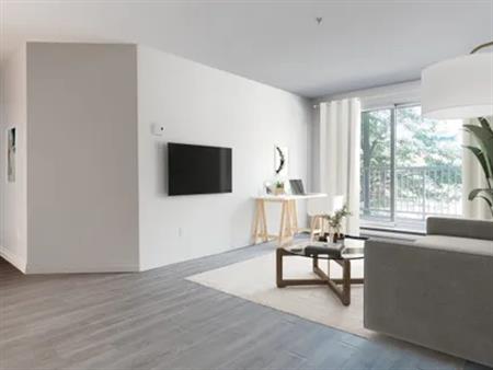 1 room apartment of 59m² in Quebec