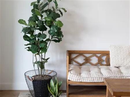 1 room room of 21 m² in Montreal