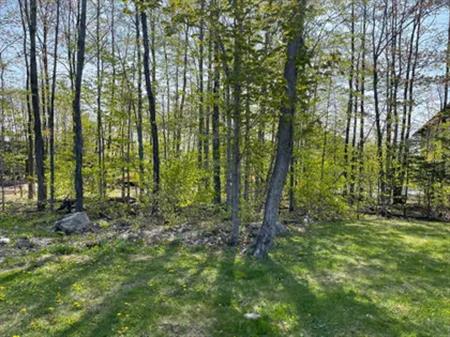 5 rooms apartment of 157 m² in Sherbrooke