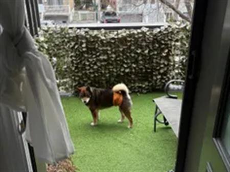 1 room house of 26 m² in Montreal