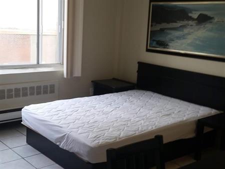 Studio - Montréal - $1,095 /mo