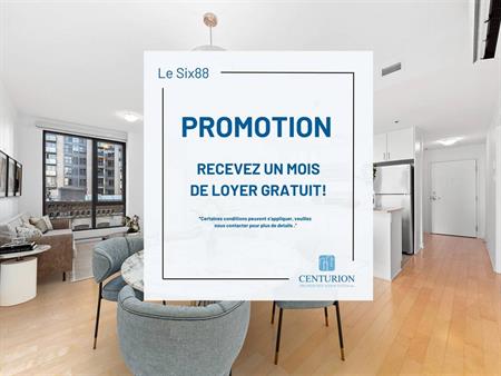 2 Bedroom Penthouse - 688 Rue Notre-Dame Ouest, Montréal