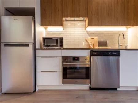1 room apartment of 35m² in Montreal