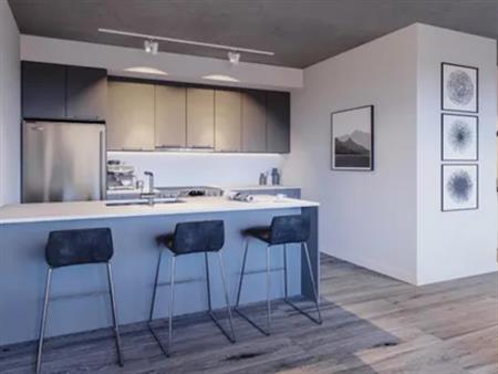 1 room apartment of 65m² in Montreal