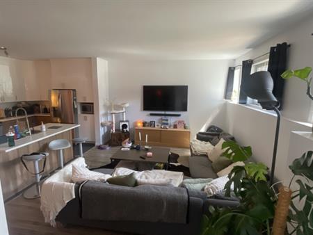 Appartement 2 Chambres, 1 Salle De Bain