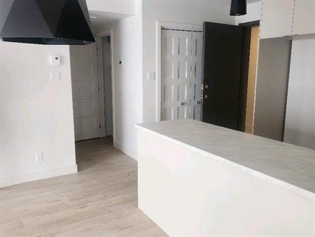 Condo neufs 2 chambres animaux acceptés