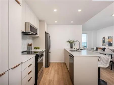 1 room apartment of 116 m² in Montreal