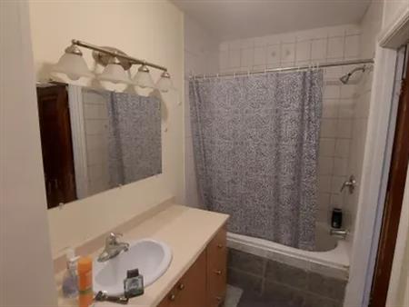 1 room room of 26 m² in Montreal