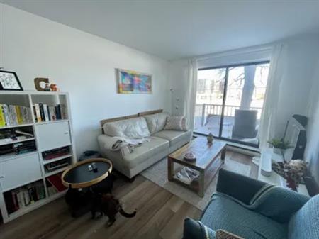 1 room apartment of 69m² in Montreal