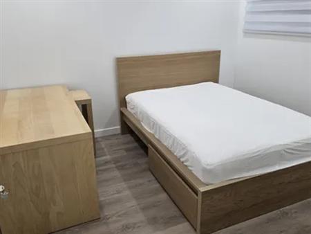 1 room room of 34 m² in Montreal