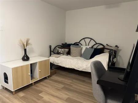 6 rooms apartment of 239 m² in Laval (administrative region)
