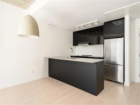 1 room apartment of 119m² in Montreal