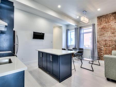 McGill Area - Superb 6 1/2 Furnished