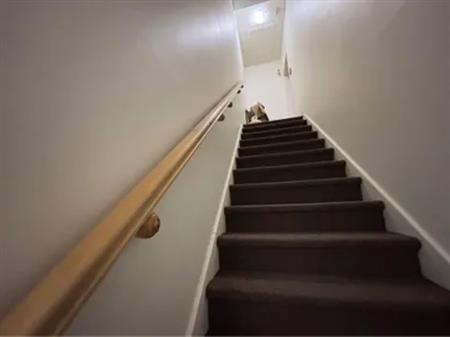 5 rooms apartment of 96 m² in Montreal