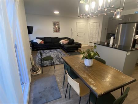 4-1/2 Neuf St-rémi Accepte Animaux